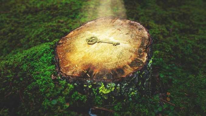 baum licht schluessel key