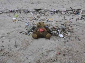 muell strand teddy pollution