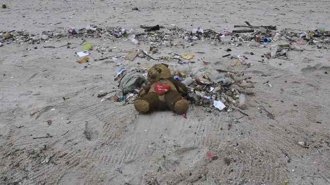 muell strand teddy pollution