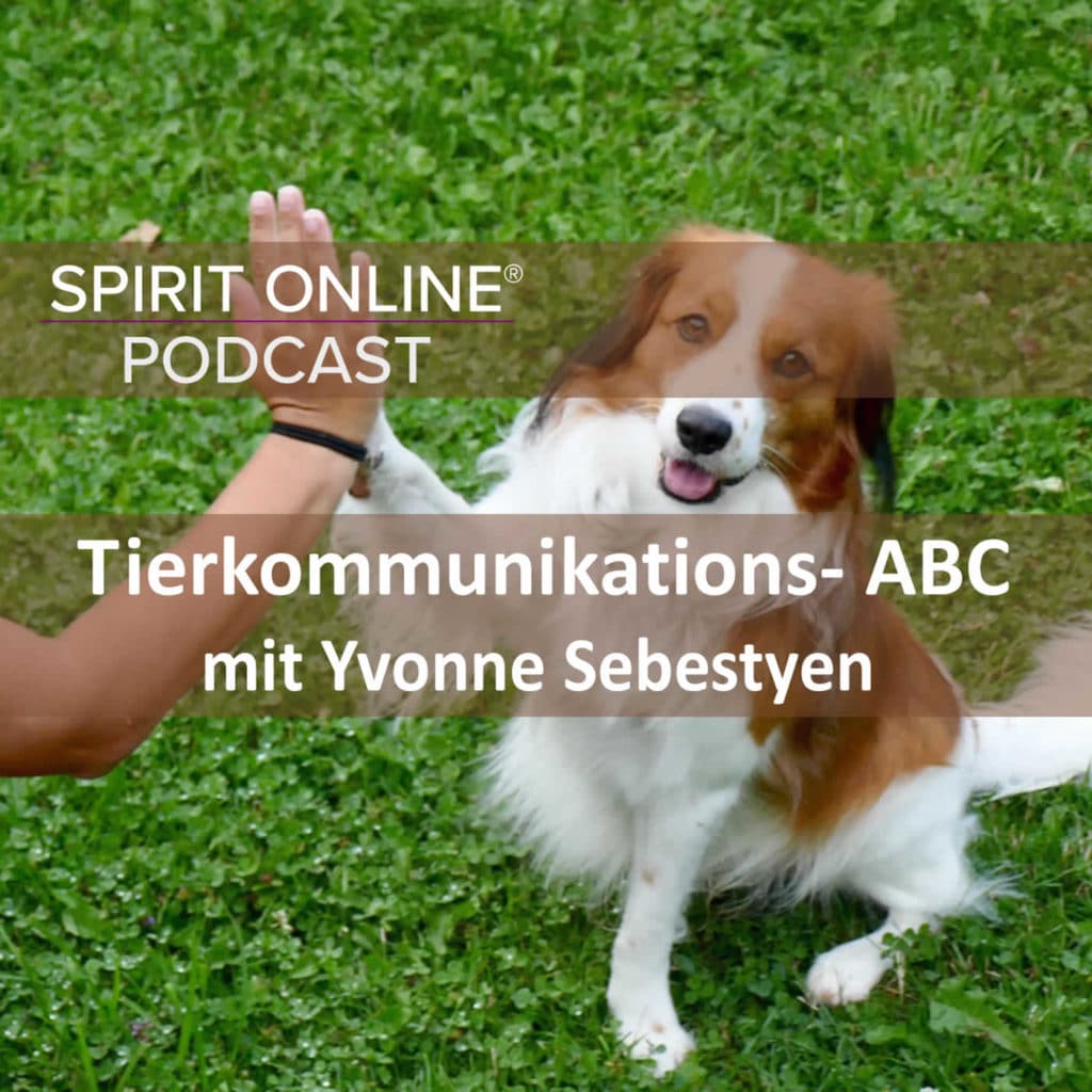 Podcast tierkommunikation yvonne sebestyen 27-10-2022
