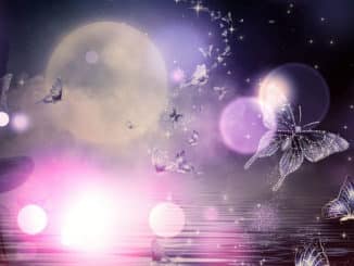 elfen licht sphaeren