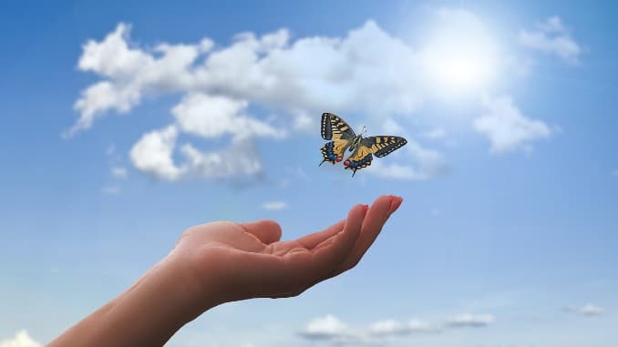 himmel schmetterling hand