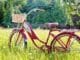 rotes fahrrad red bike