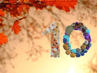 zahl oktober herbst blaetter eiche sonne