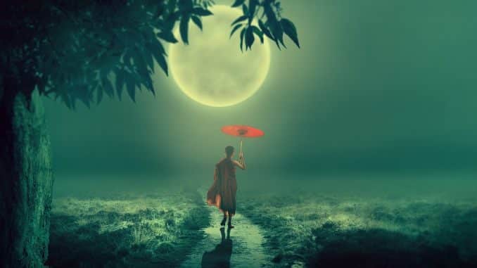 mann weg mond tree