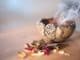 raeuchern kraeuter fire bowl