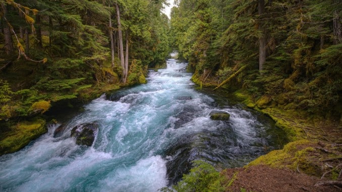 fluss des lebens mckenzie