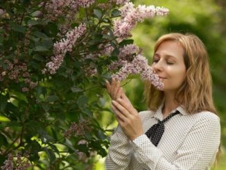 glücklich sein Glücklichsein Glück fragrance-of-flowers