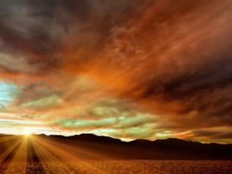 leben und tod wueste sonne