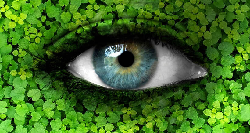 Auge in die Natur eingebunden