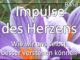 Impulse des Herzens Band 16