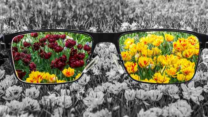 brille natur bewusstsein