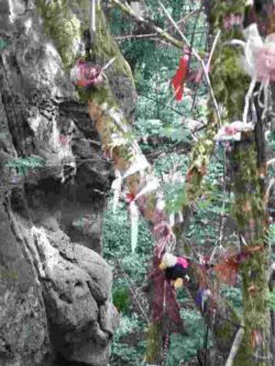 wo man gebo finden kann c steinfeldt