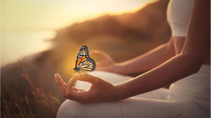 yoga schmetterling istockphoto jana stapel