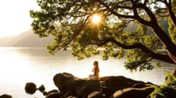 Yoga der königlichen Erkenntnis