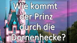 Spirituelles Buch Wie kommt der Prinz durch die Dornenhecke
