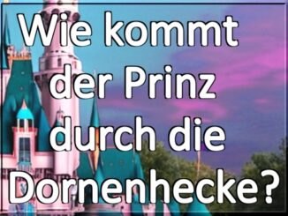 Spirituelles Buch Wie kommt der Prinz durch die Dornenhecke