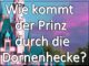 Spirituelles Buch Wie kommt der Prinz durch die Dornenhecke