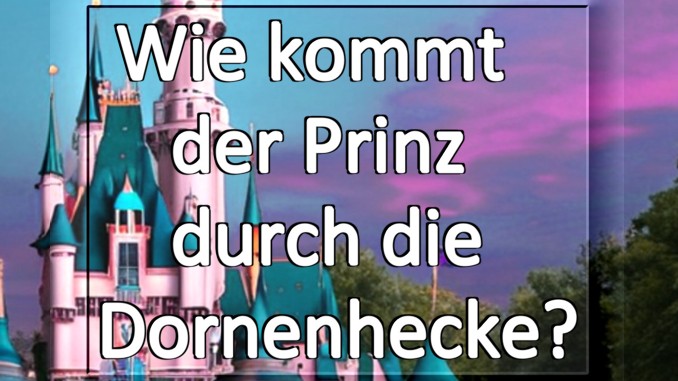 Spirituelles Buch Wie kommt der Prinz durch die Dornenhecke