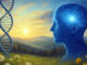 Was Leben bedeutet Mensch, Natur und Gene