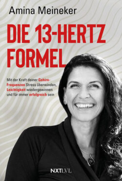 Cover Amina Meineker 13-hertz