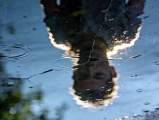 Spiegelbild im Wasser