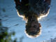 Spiegelbild im Wasser