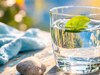 Wasserglas mit grünem Blatt im Sonnenschein