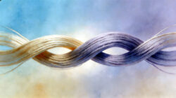 Philia Liebe Verbindung zweier Bänder als Symbol der Liebe